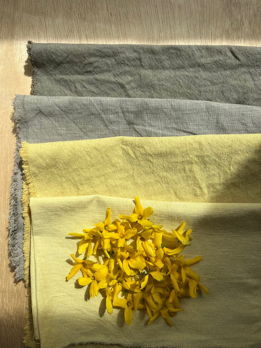 Between Seasons: A Study in Color