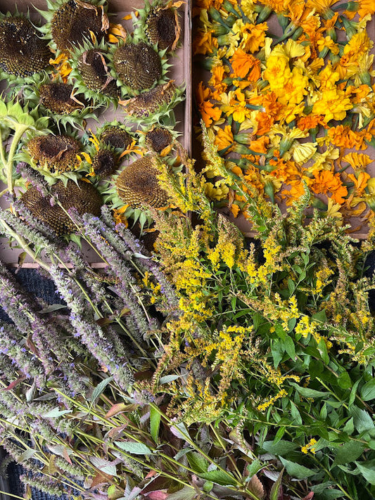 A season of gathering