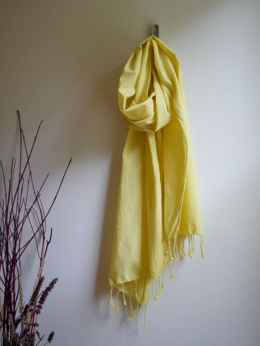 Natural Dyed Organic Cotton Long Scarf - Weld Yellow